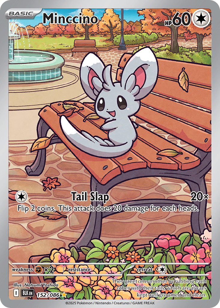 Minccino – Black Bolt