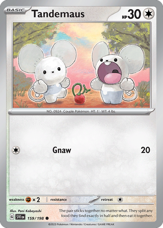 Tandemaus – Scarlet & Violet