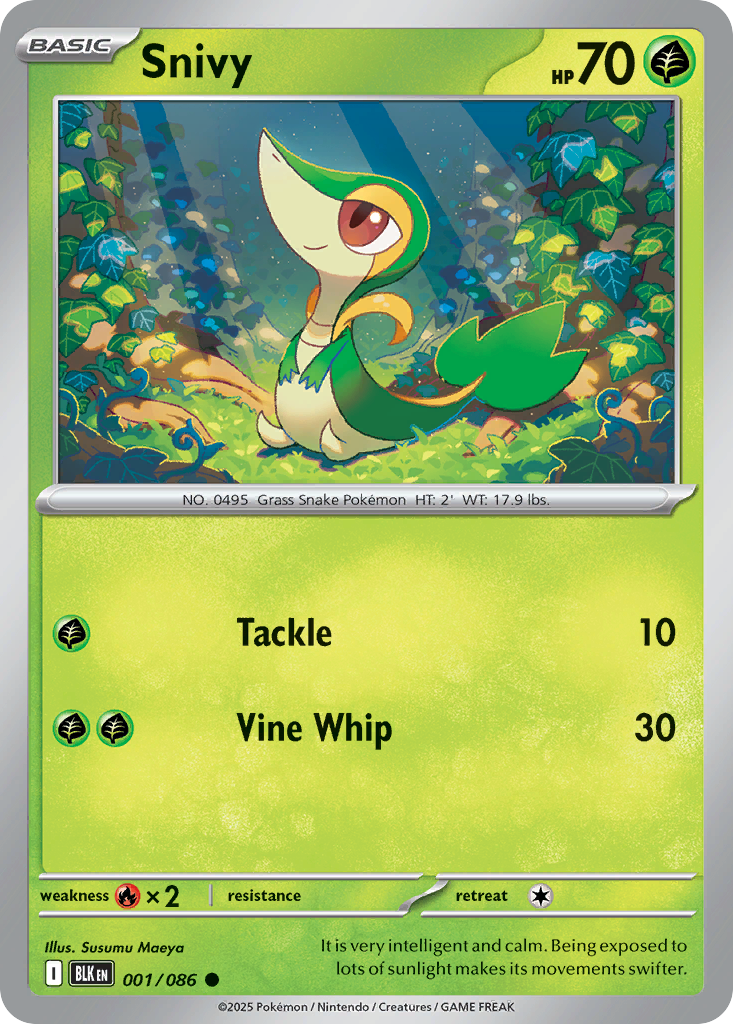 Snivy – Black Bolt